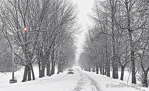 Snowy Gallipeau Centre Driveway_P1010308-10.jpg - Photographed at Smiths Falls, Ontario, Canada.